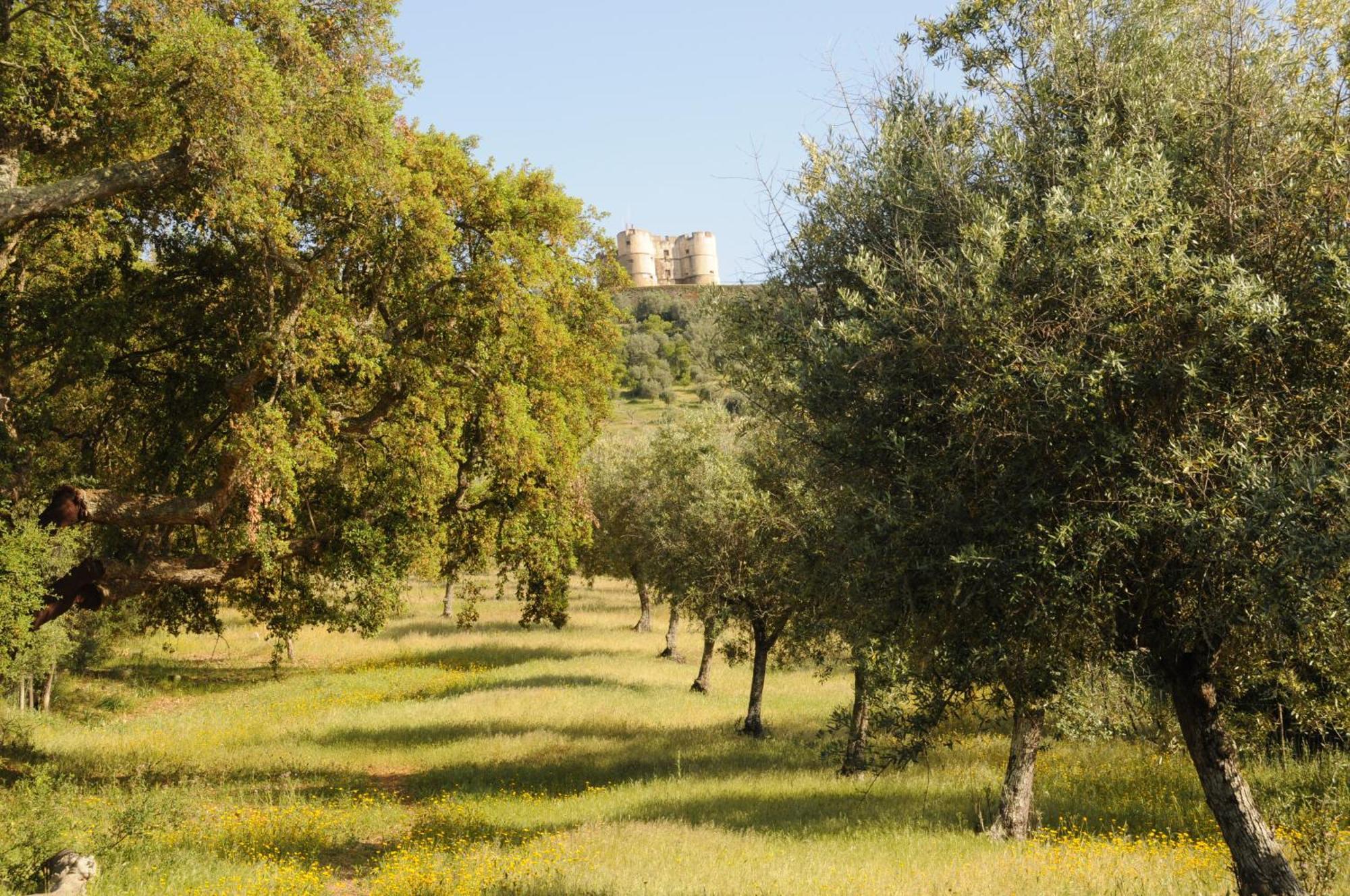 Quinta De Evoramonte Villa Estremoz Eksteriør bilde
